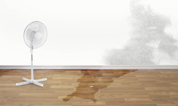 Best Flooded house restoration  in Horseheads North, NY