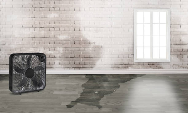 Best Local water damage restoration  in Horseheads North, NY